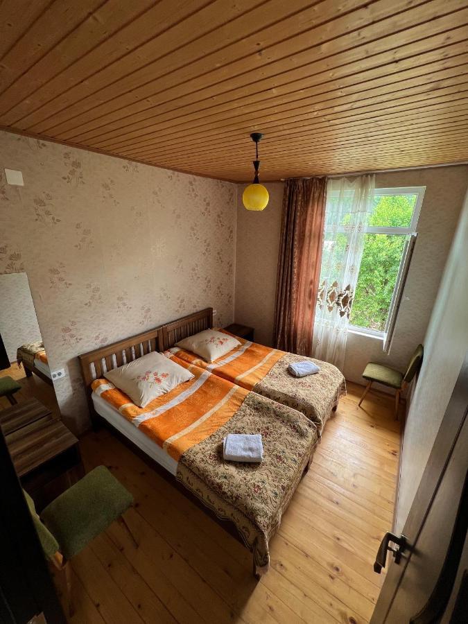 Barbara'S Eco-Cozy Guesthouse 메스티아 외부 사진