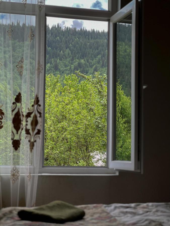 Barbara'S Eco-Cozy Guesthouse 메스티아 외부 사진