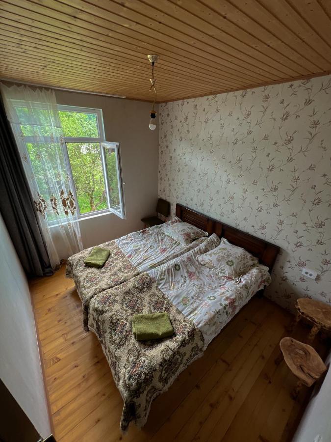 Barbara'S Eco-Cozy Guesthouse 메스티아 외부 사진