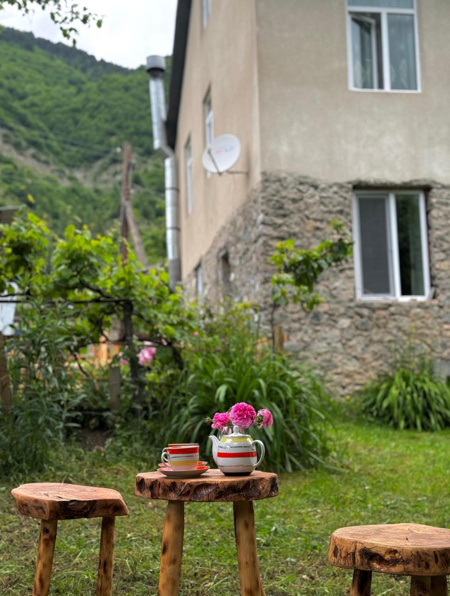 Barbara'S Eco-Cozy Guesthouse 메스티아 외부 사진
