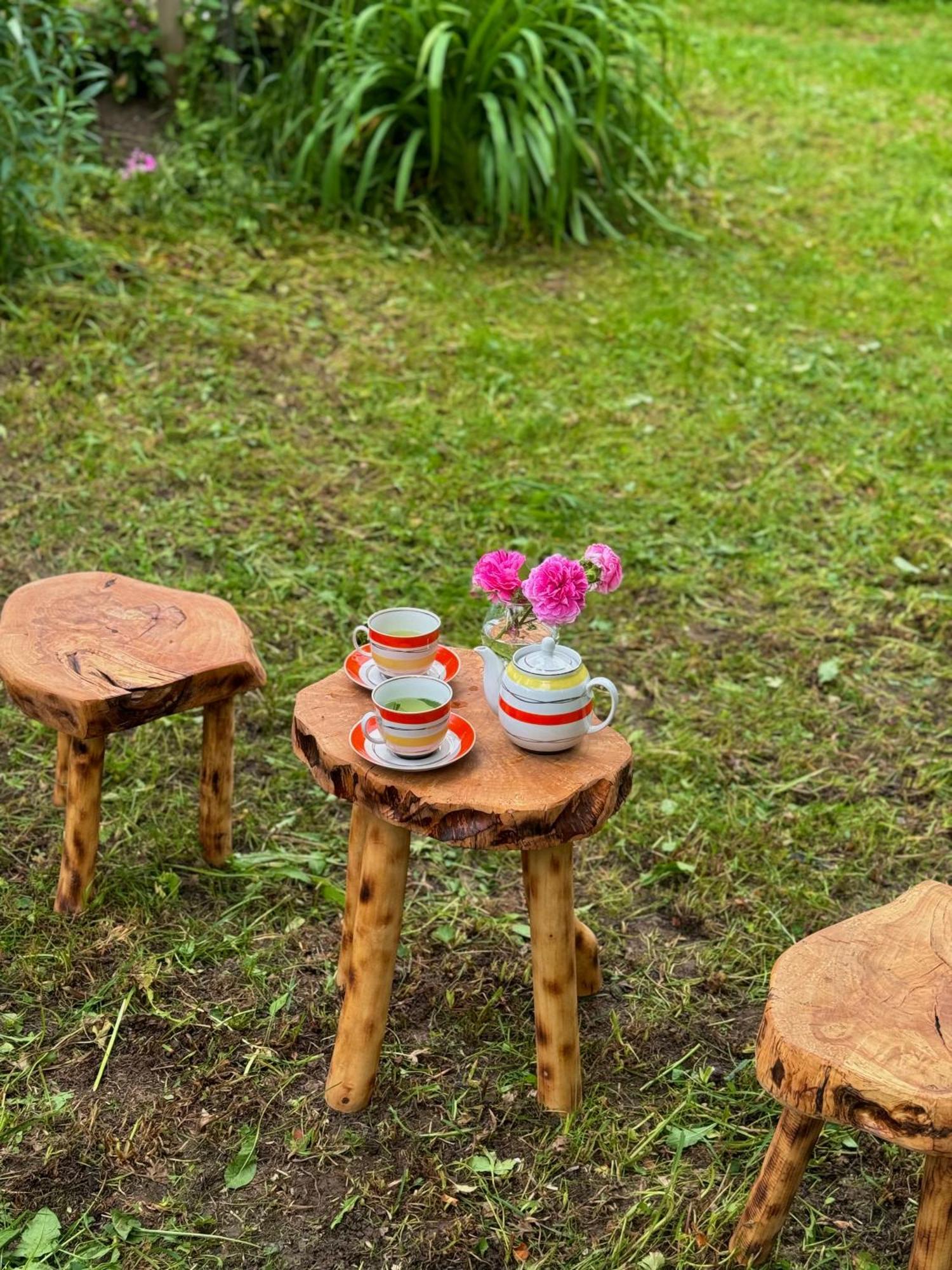 Barbara'S Eco-Cozy Guesthouse 메스티아 외부 사진